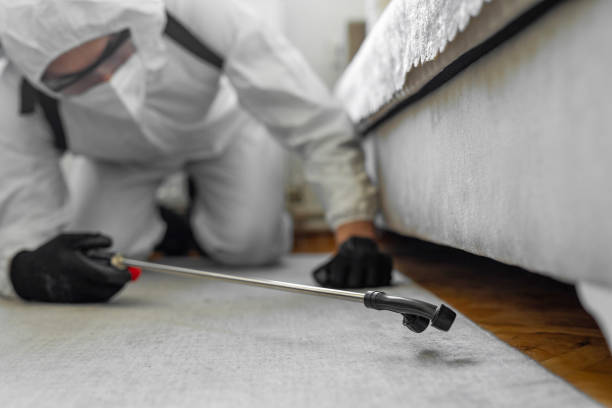 Professional Termite Control technician working in Clyde, NC