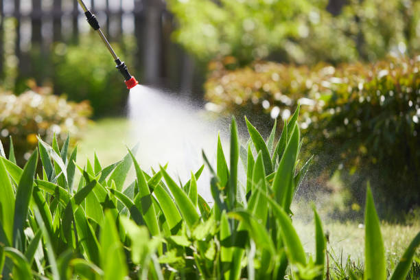24/7 Emergency Termite Control experts in Clyde, NC