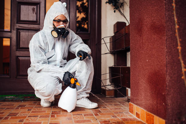 Reliable Termite Control contractor in Clyde, NC by Nex Pest Control